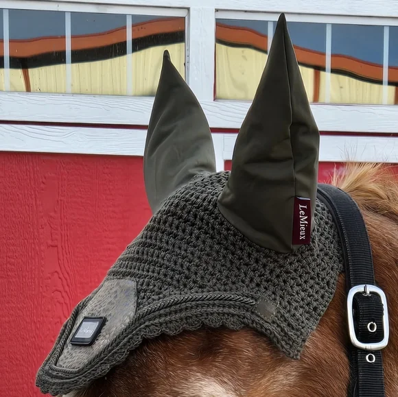 Ear Bonnet - Picture 2 of 2